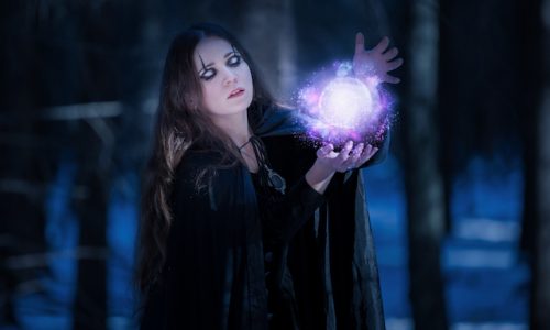 術Enchantress at the magic bullet in the enchanted forest