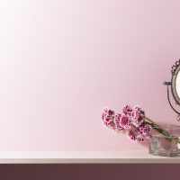 物・自然・鏡、ピンクの壁と棚の室内イメージ