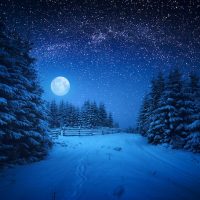 自然・雪と月Majestic winter forest