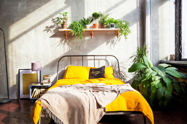 風水学 運気アップ 寝室の方角毎の正しい壁紙やカーテン色 ベッド位置 観葉植物の選び方
