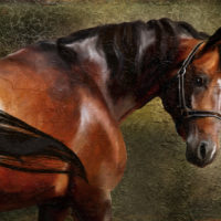 馬の絵画