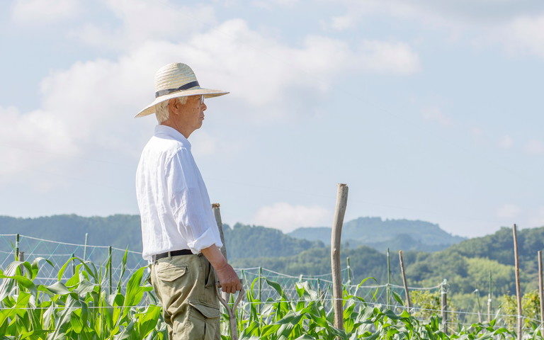 夢占い 畑の夢を見る意味と心理診断60選 耕す 豊作 日照り