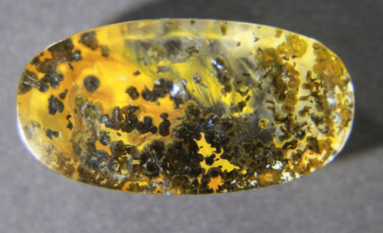 デンドリティッククォーツ デンドライト 意味や効果 浄化方法や見分け方を解説