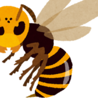 蜂スズメバチ